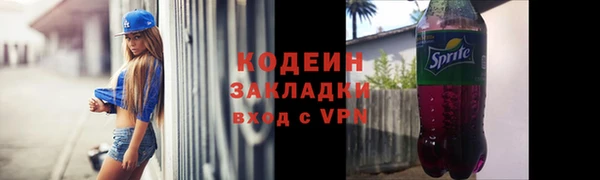 прущие грибы Балахна